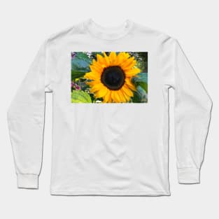 Sunflower macro Long Sleeve T-Shirt